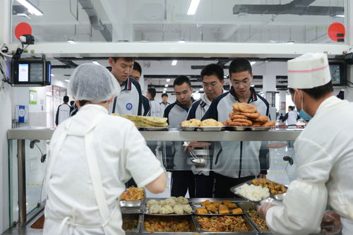 河北定興 智慧監(jiān)管筑牢校園食品安全防線，企業(yè)管理咨詢助力長效提升